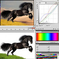 Photoshop * All Inclusive Bundle * August 27-28, 2012 (Dru Blair)